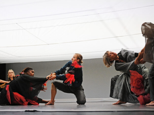 The ceiling forebodingly lingers above the David Dorfman Dance company, a white square light of fabric pressing above dancers clad in wrinkled black, red flannel, and navy shirts and pants. The dancers stare upwards, hesitancy and intimidation painted over some of their faces. A duet on the right holds each other’s forearms, looking to each other for comfort.